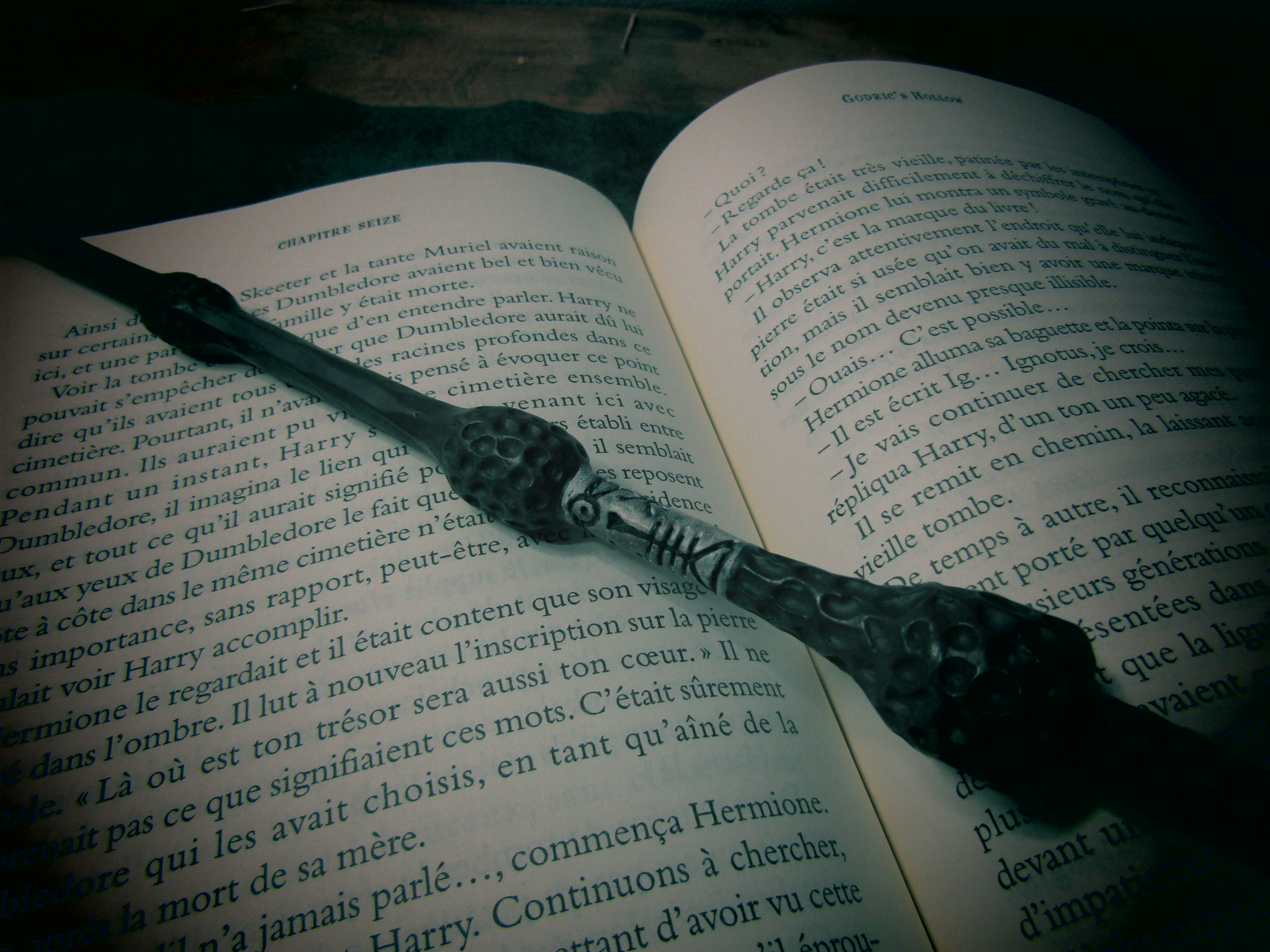 Harry Potter Book and Wand