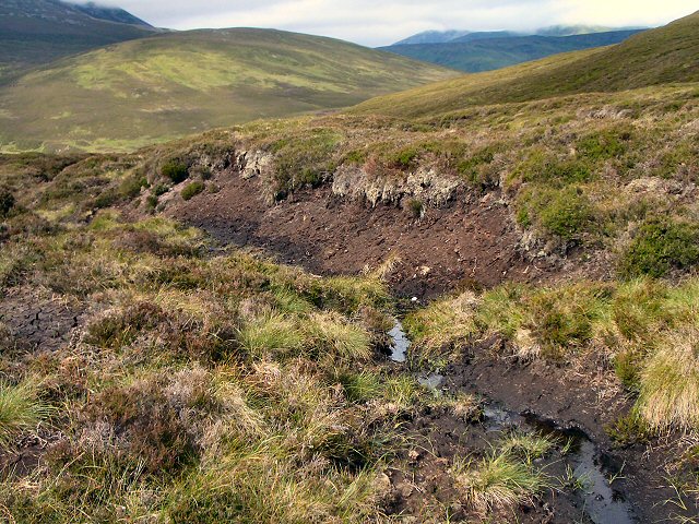 File:Heathery ridge - geograph.org.uk - 32383.jpg