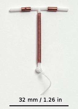 IUD with scale.jpg