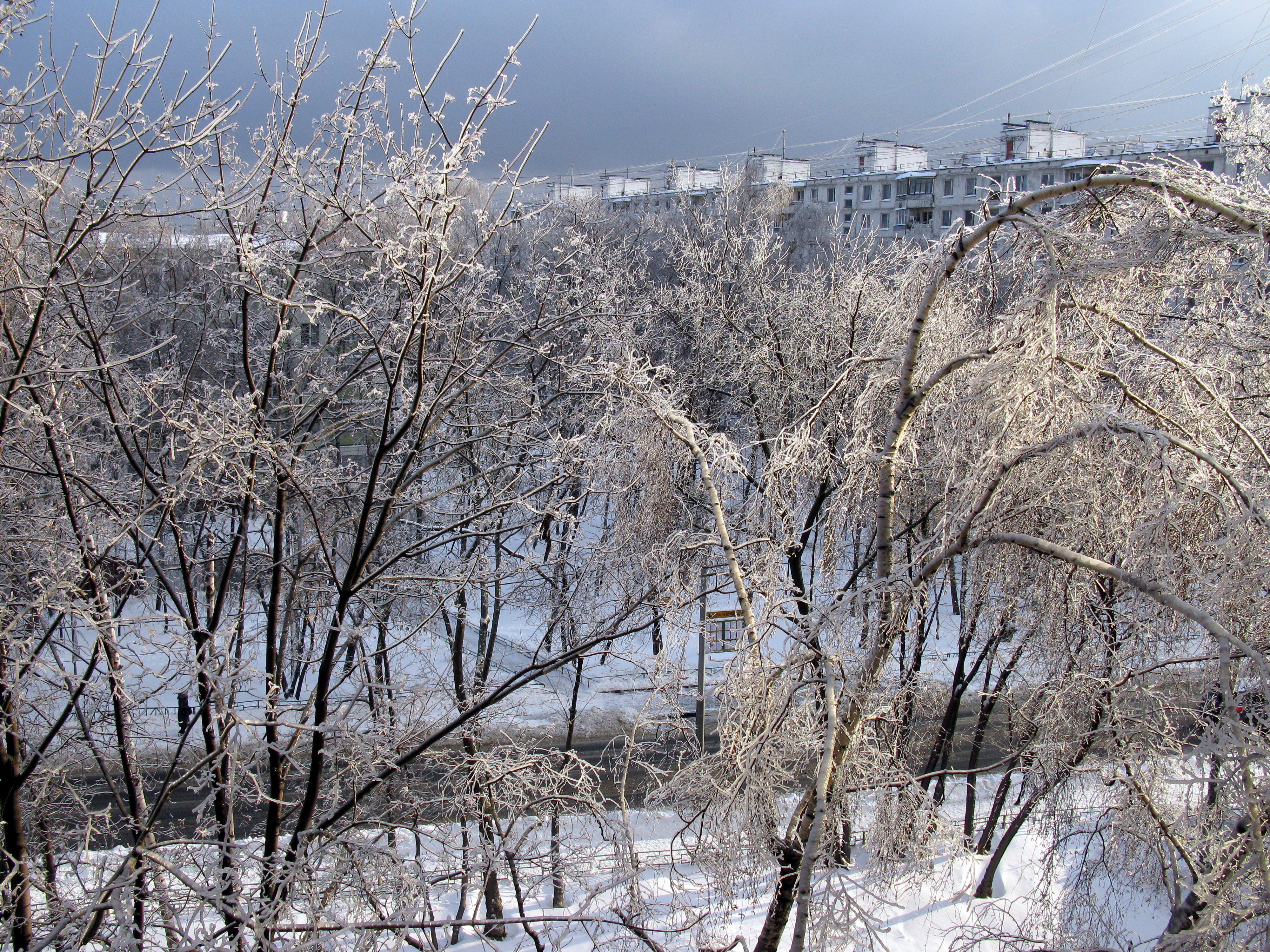 Москва декабрь 2010. Декабрь 2010. Ice Storm.