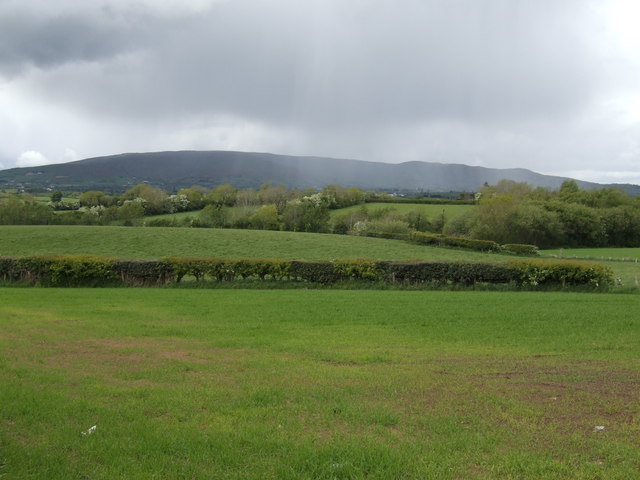 File:Irish rain - geograph.org.uk - 433871.jpg