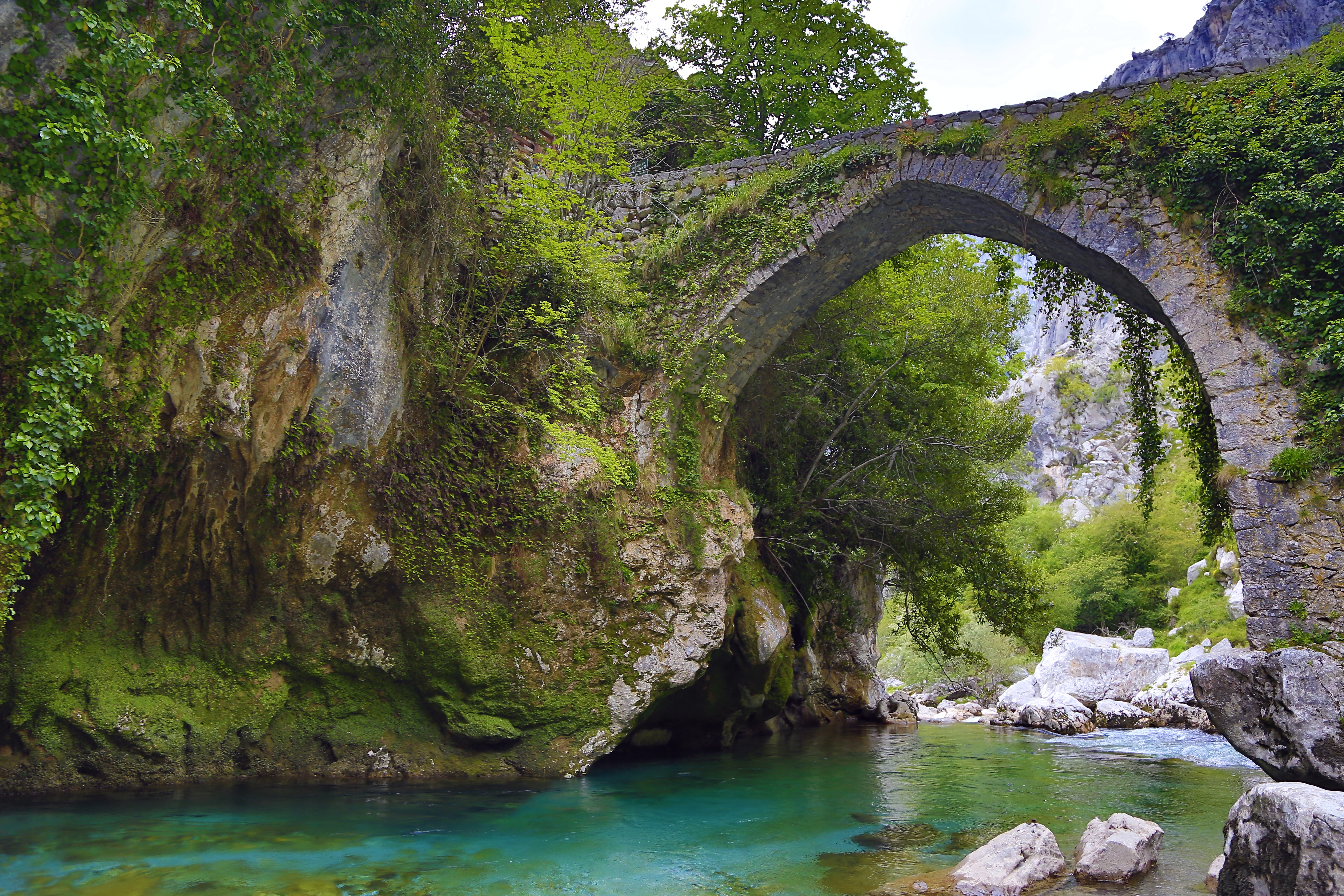 Cual es el puente de diciembre