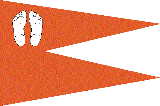 File:Jhabuaflag.png