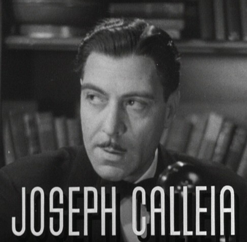 File:Joseph Calleia in After the Thin Man trailer.jpg