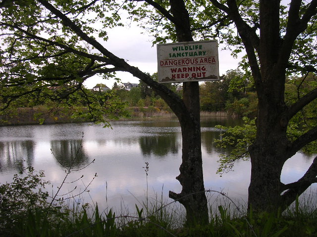 File:Kingoodie quarry - geograph.org.uk - 10670.jpg