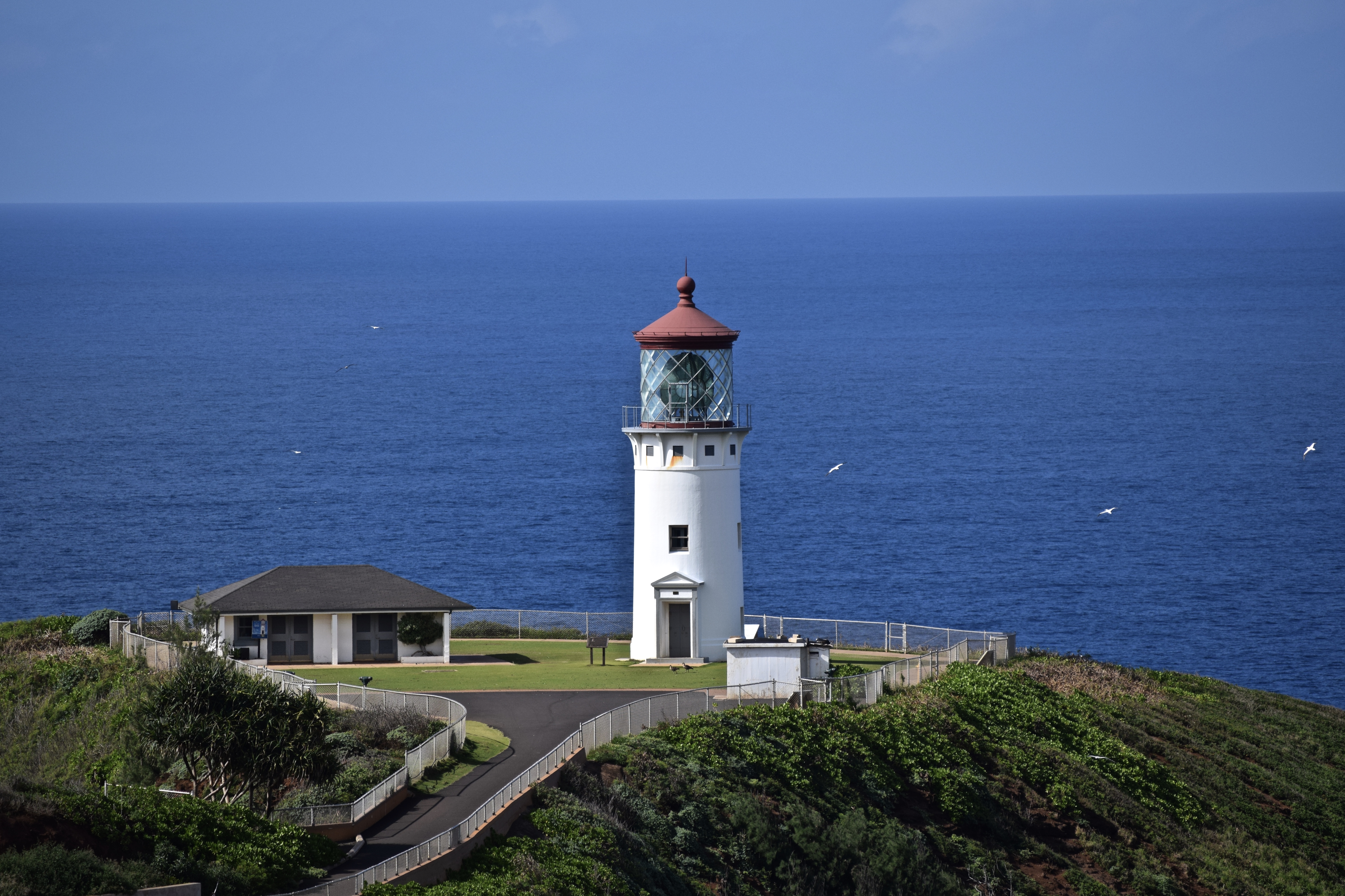 Fichier Lighthouse  Kilauea  Point National Wildlife Refuge 