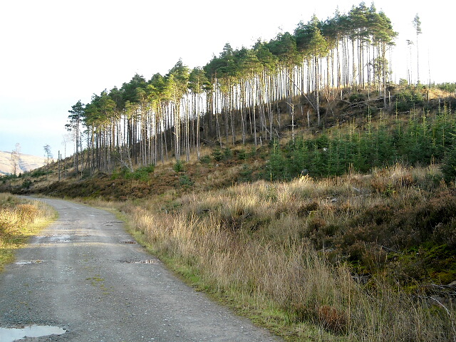 File:Loch Ard Forest - geograph.org.uk - 1058266.jpg