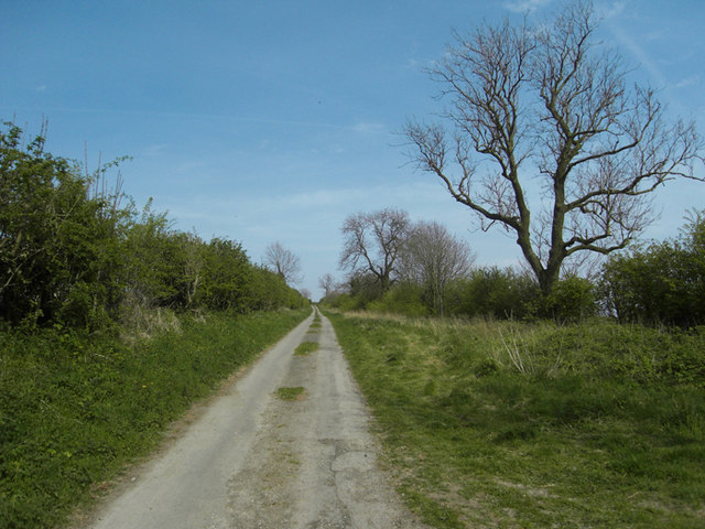 File:Middle Barn Hill, near Worlaby - geograph.org.uk - 1273712.jpg