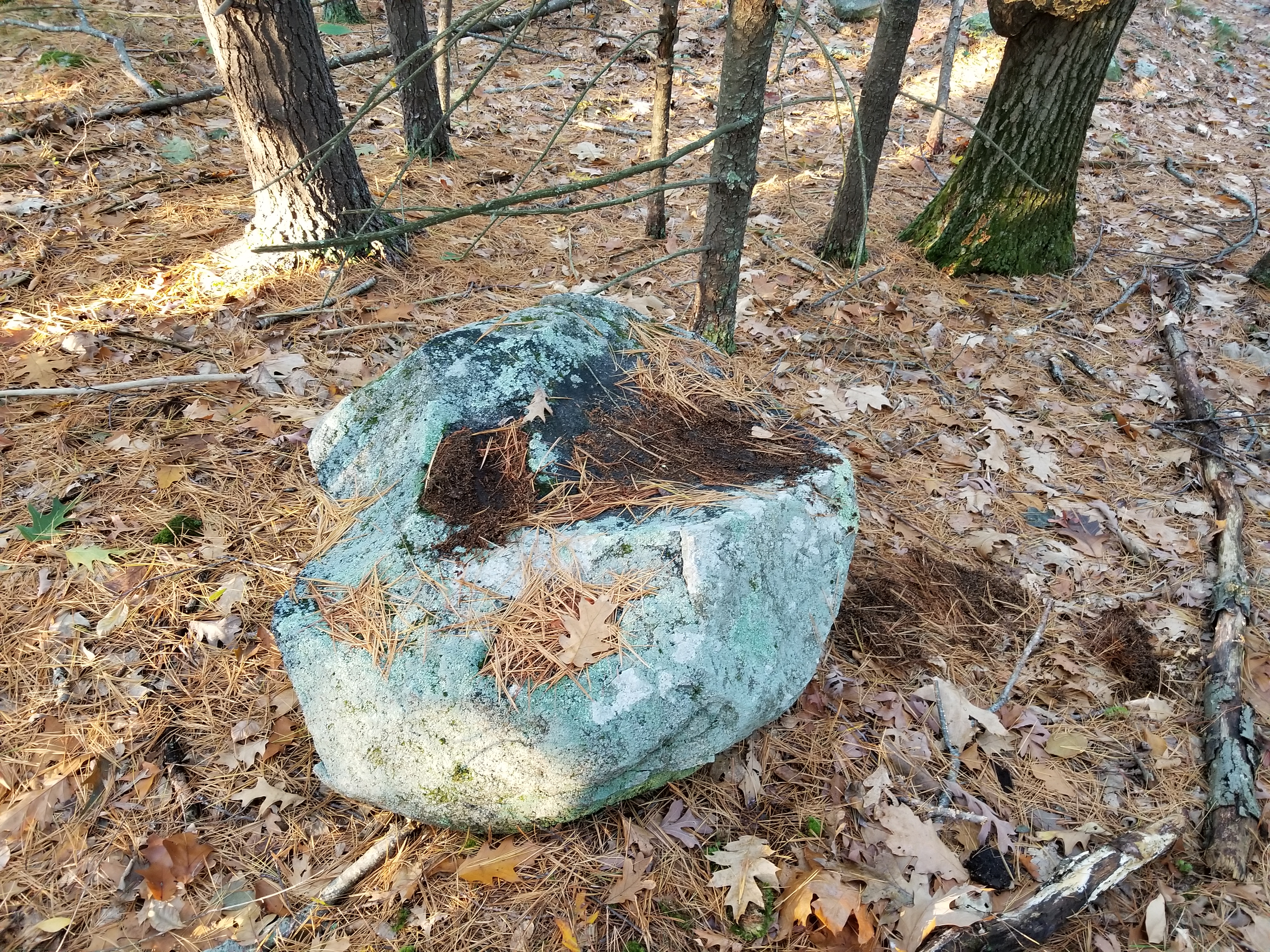 File Native American Indian Corn Grinding Stone Near Nobscot Hill In Framingham And Sudbury Massachusetts Ma Usa Jpg Wikimedia Commons