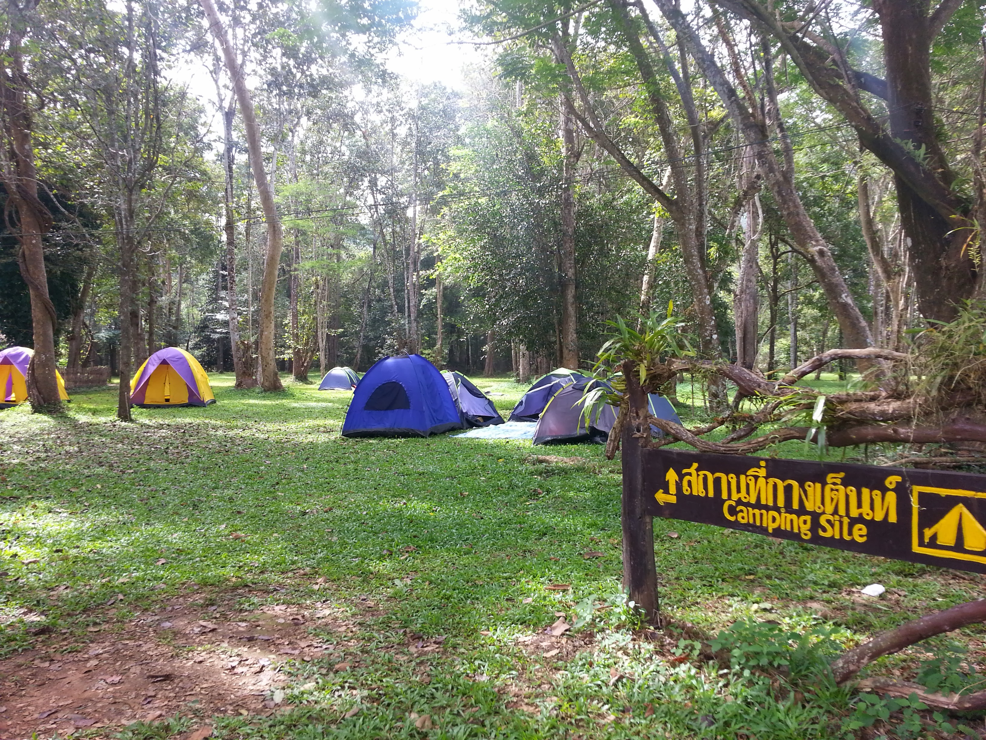 To Ensure A Memorable Camping Experience In Thailand, Here Are The Essentials You’ll Need