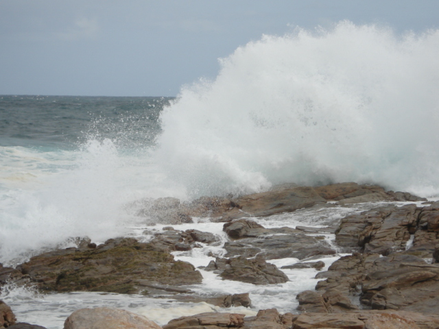 Rugged beauty at Schoodic Point