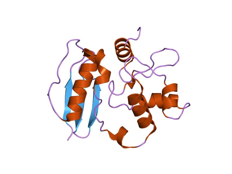 File:PDB 1qnt EBI.jpg