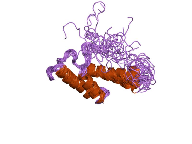 File:PDB 2lfb EBI.jpg