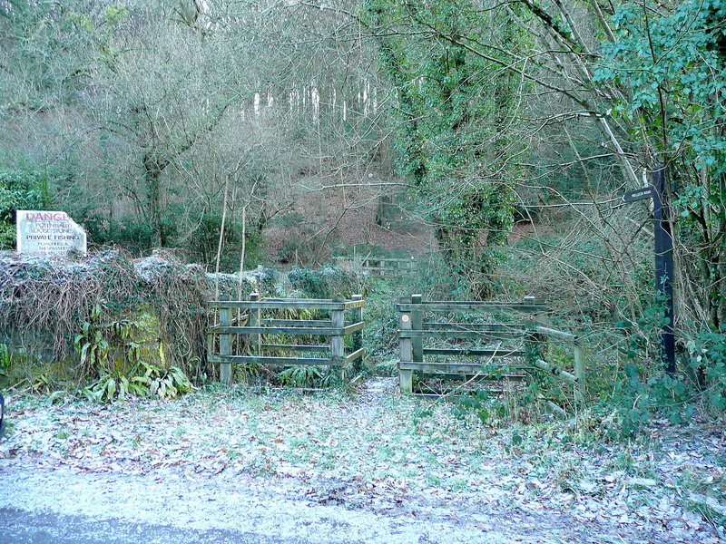 File:Path into Coed Beddick - geograph.org.uk - 2281107.jpg