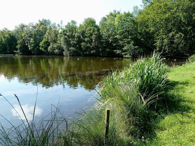 Pond Near Brodie Castle - geograph.org.uk - 3080522