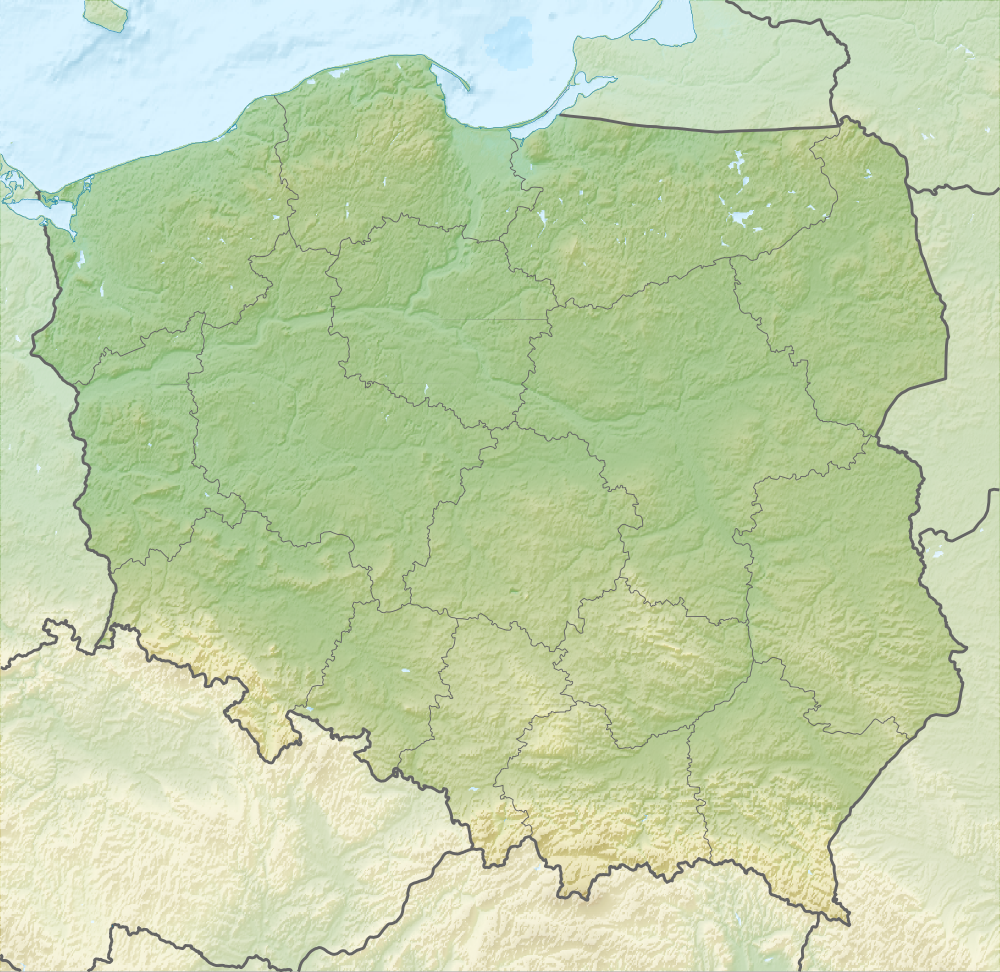 Relief Map of Poland.png