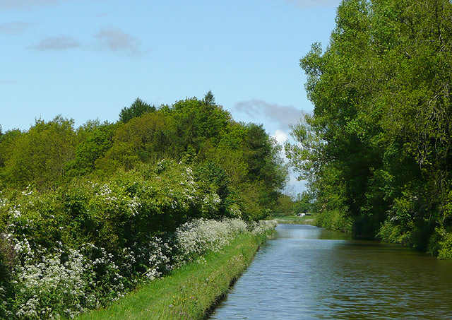 File:Shropshire Union Canal west of Knighton, Staffordshire - geograph.org.uk - 1460392.jpg