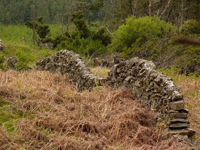 File:Switchback dyke - geograph.org.uk - 453244.jpg