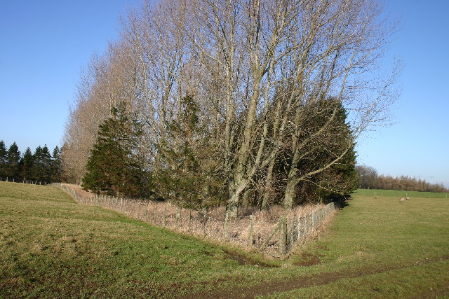 File:The Hag - geograph.org.uk - 113229.jpg