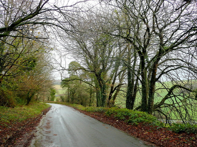 File:Tree-lined lane near Dean Prior - geograph.org.uk - 1605995.jpg