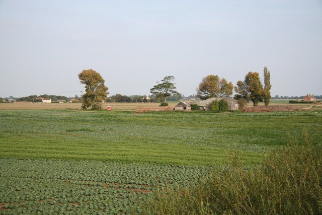 Pepper Gowt Plot