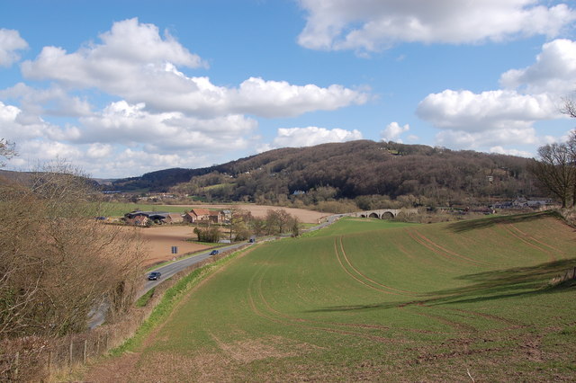 File:Wye valley gorge at Kerne Bridge - geograph.org.uk - 748002.jpg