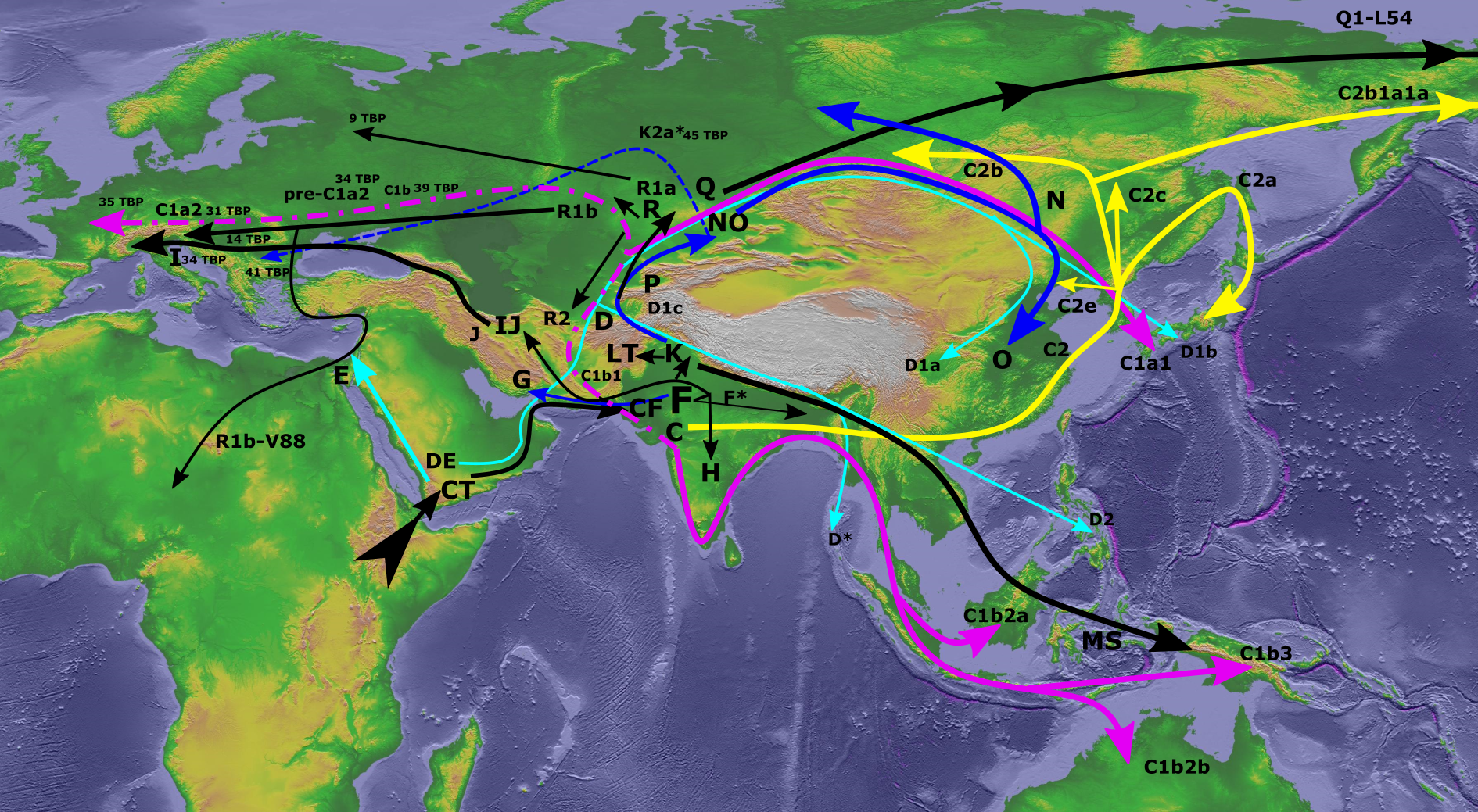 Y-Haplogroup_Paleolithic_Migrations.png