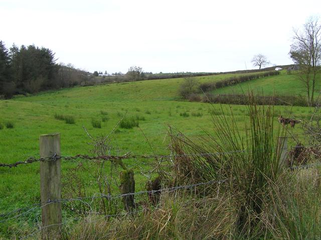 File:"The Meadow", Errigle - geograph.org.uk - 1058932.jpg