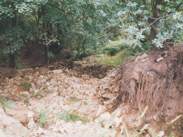 File:After the flood, Luddendean Dean - geograph.org.uk - 917157.jpg