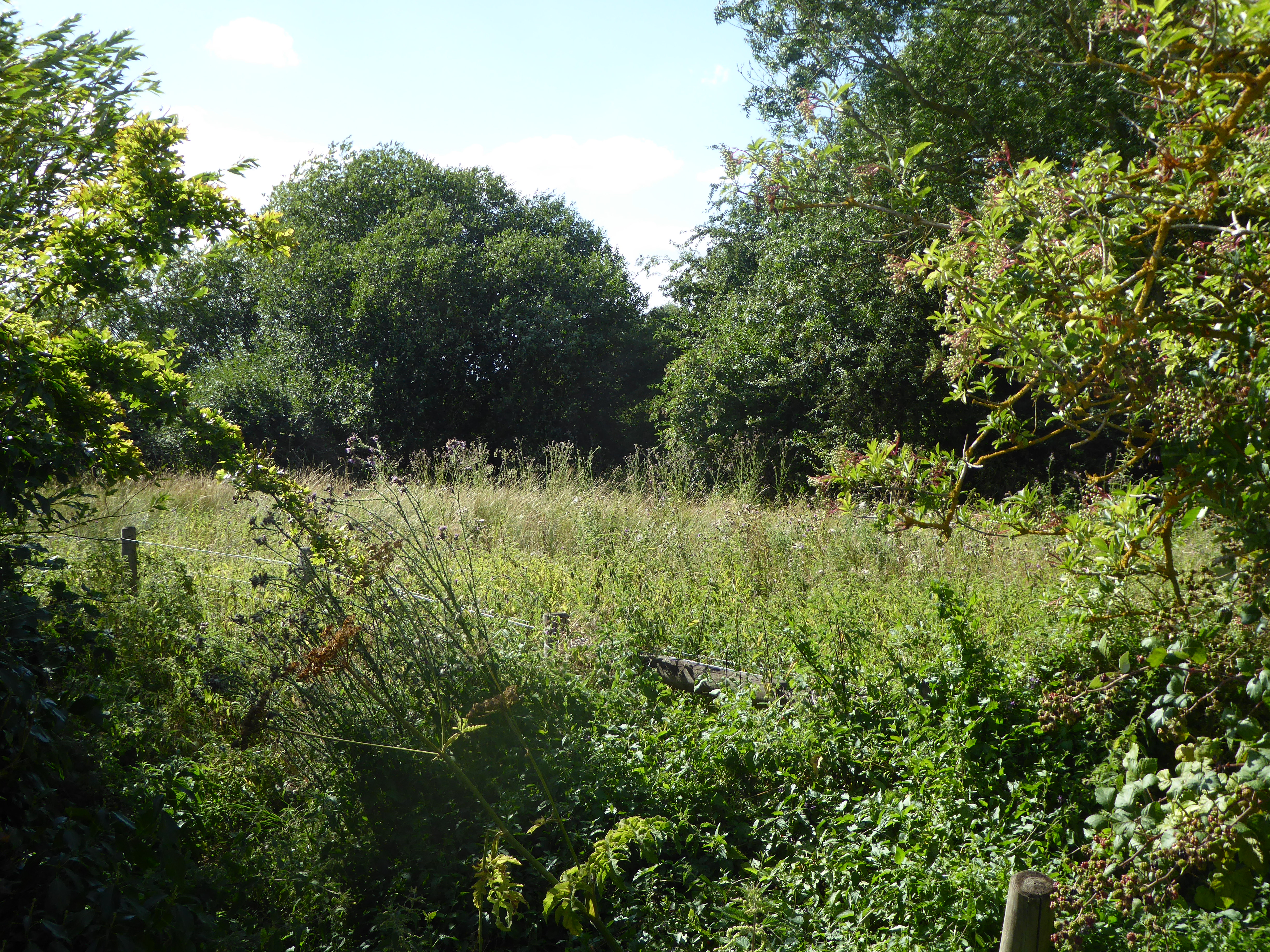 Aslacton Parish Land