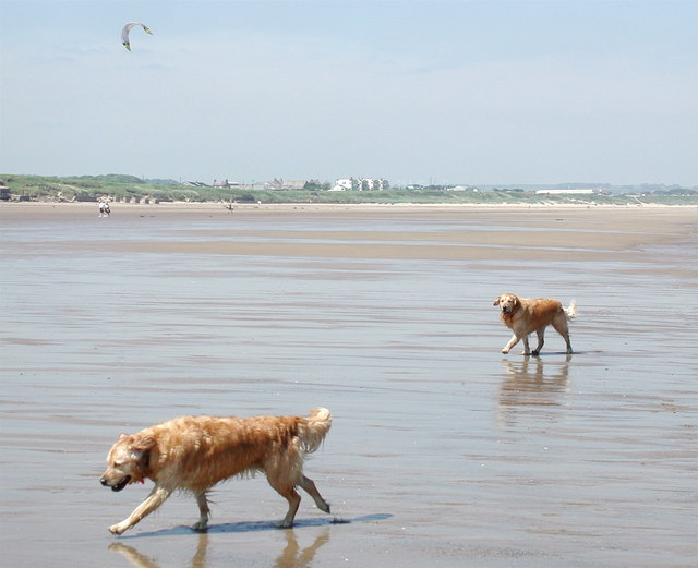 File:Auburn Sands - geograph.org.uk - 845179.jpg