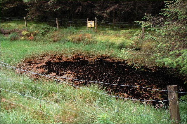 File:Ballyboley forest near Larne (5) - geograph.org.uk - 512440.jpg