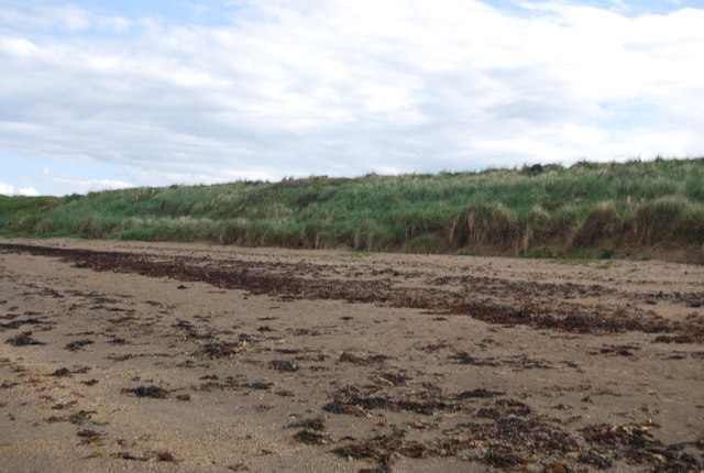 File:Beach and dunes, Beadnell - geograph.org.uk - 2702447.jpg