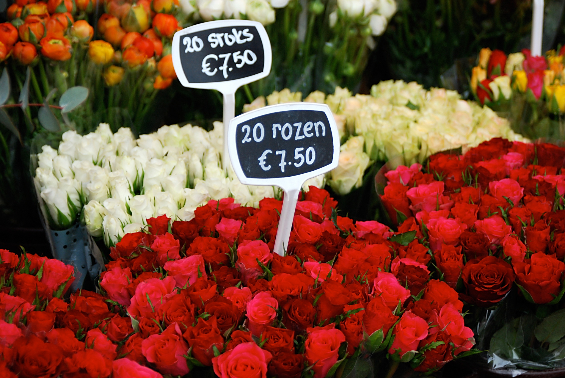 Сколько стоят цветы 2024. Цветочный рынок Амстердам. Bloemenmarkt в Амстердаме. Голландские рынки цветов. Рынок цветов в Амстердаме.