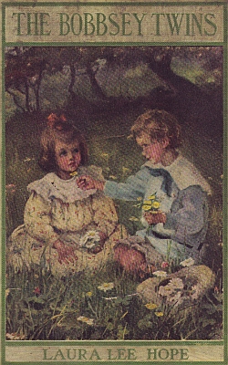 <span class="mw-page-title-main">Bobbsey Twins</span> Series of American childrens novels