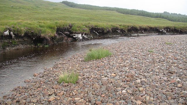 File:Bogwood, Allt Tolaghan - geograph.org.uk - 921723.jpg