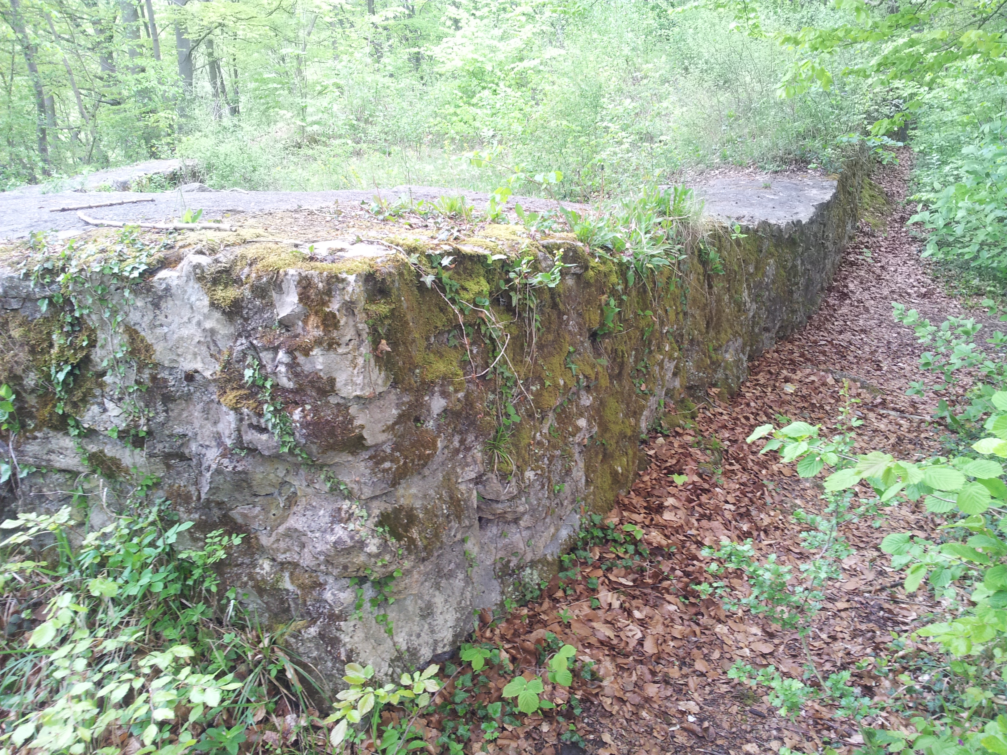 Burg Strenger Felsen