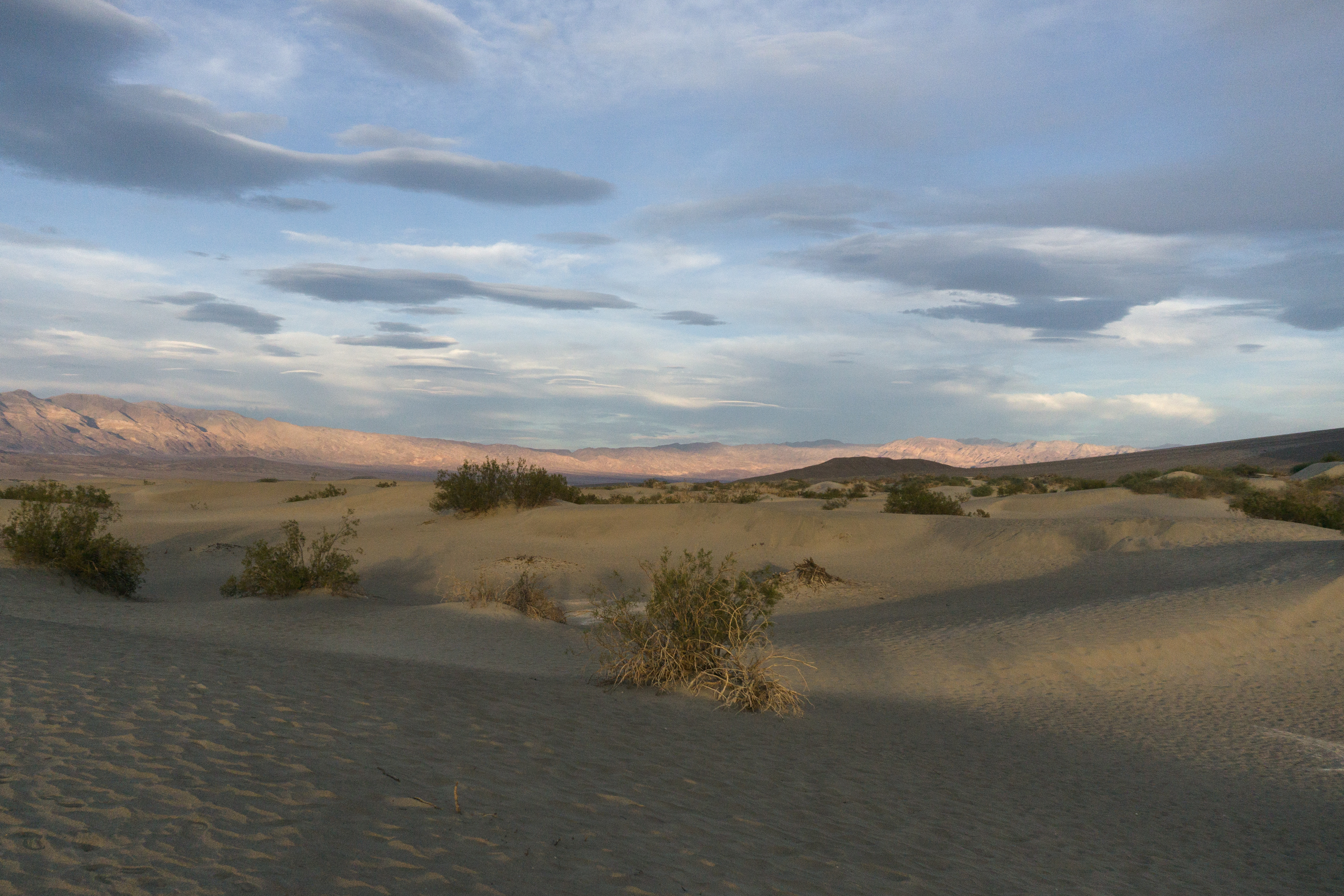 Дюна 2019. Mesquite Flat Sand Dunes Долина смерти. Долина смерти достопримечательности Mesquite Flat Sand Dunes. Sand Dune, Sunrise, Death Valley National Monument, California, 1948.