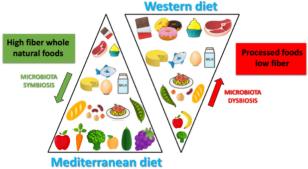 Differences between Mediterranean diet and Western diet