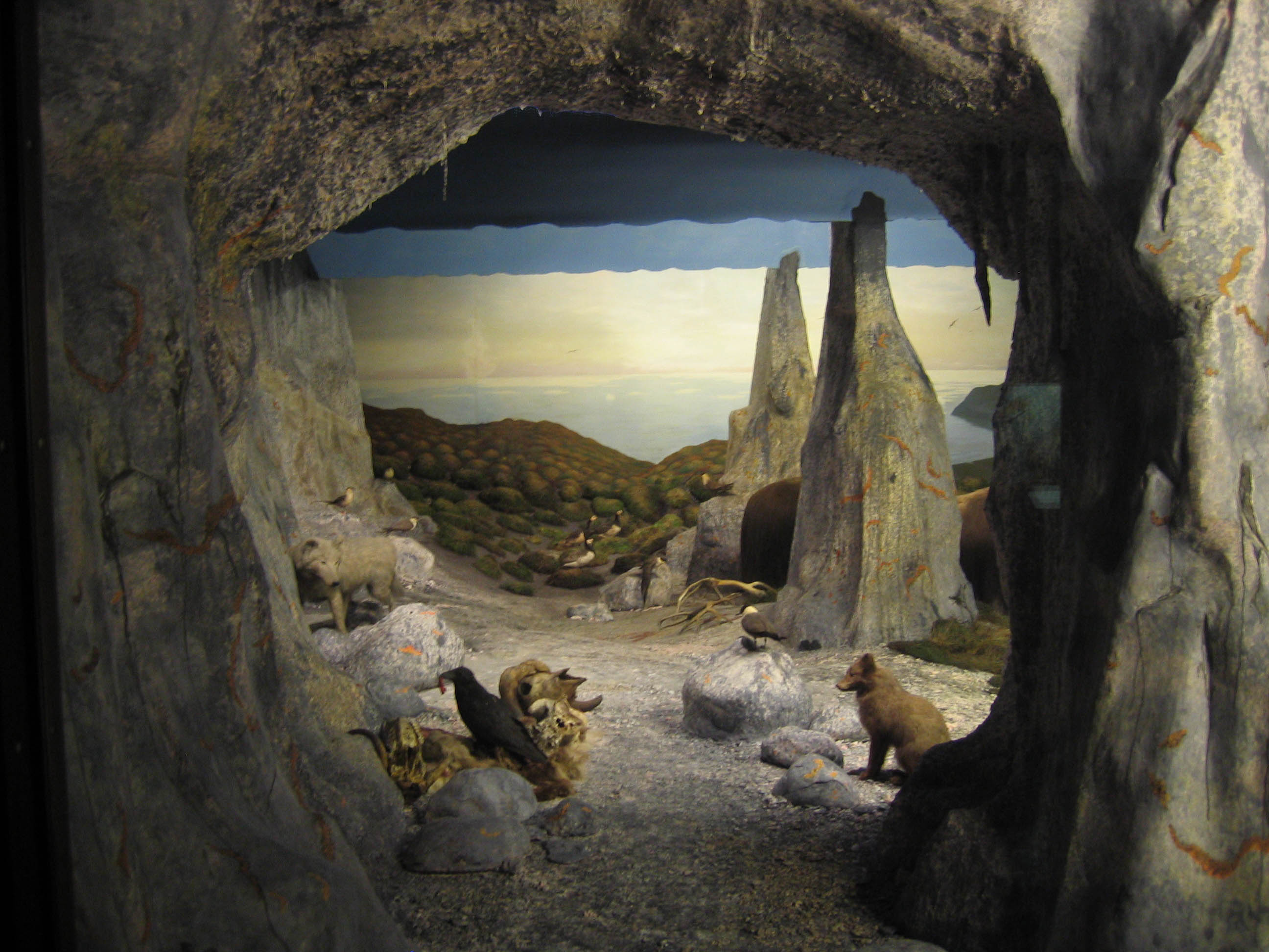 Diorama — Wikipédia