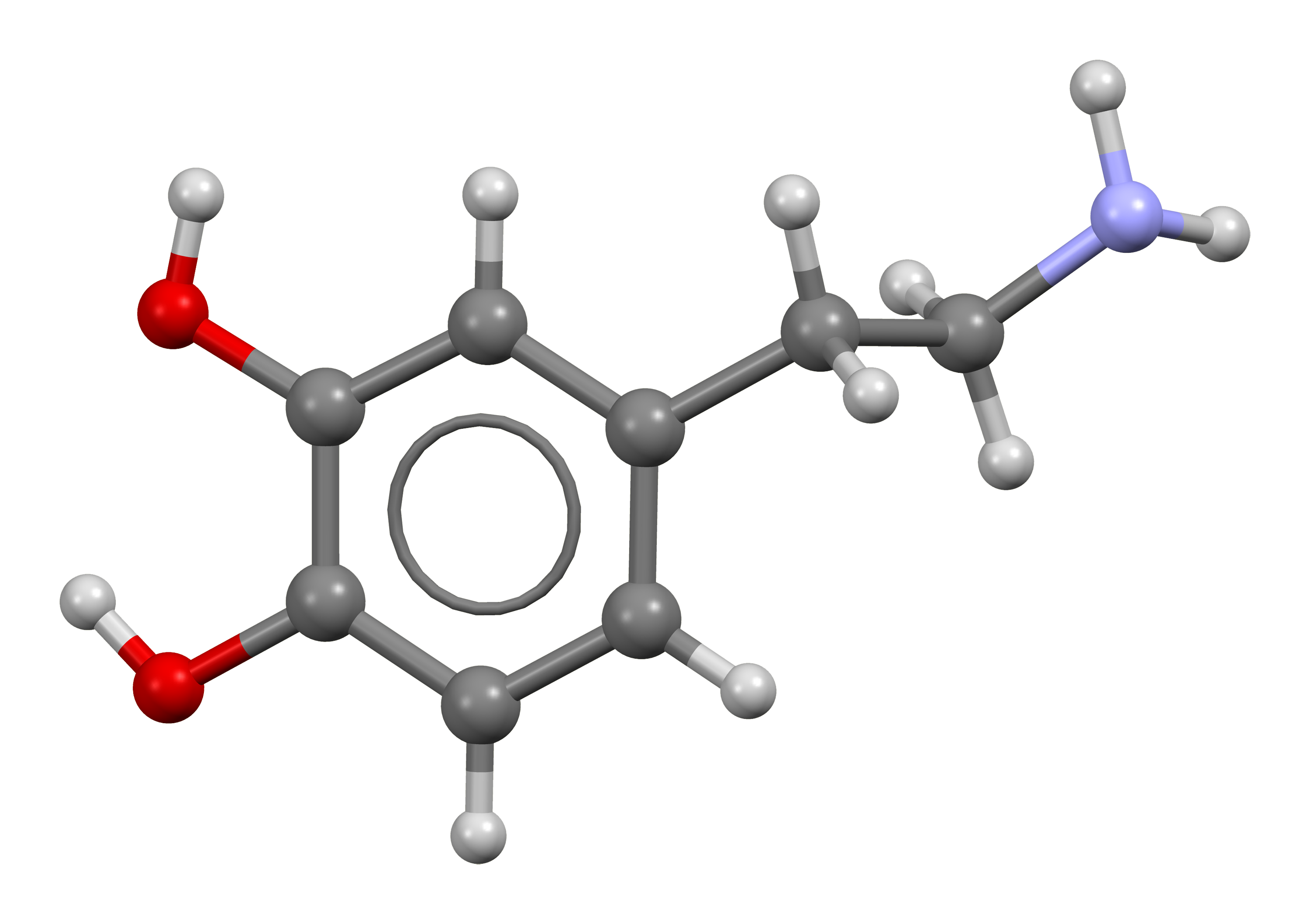 organic chemical that functions both as a hormone and a neurotransmitter