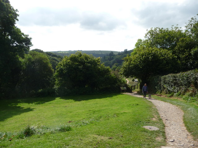 File:Exmoor , Grassy Area and Path to Tarr Steps - geograph.org.uk - 1494260.jpg