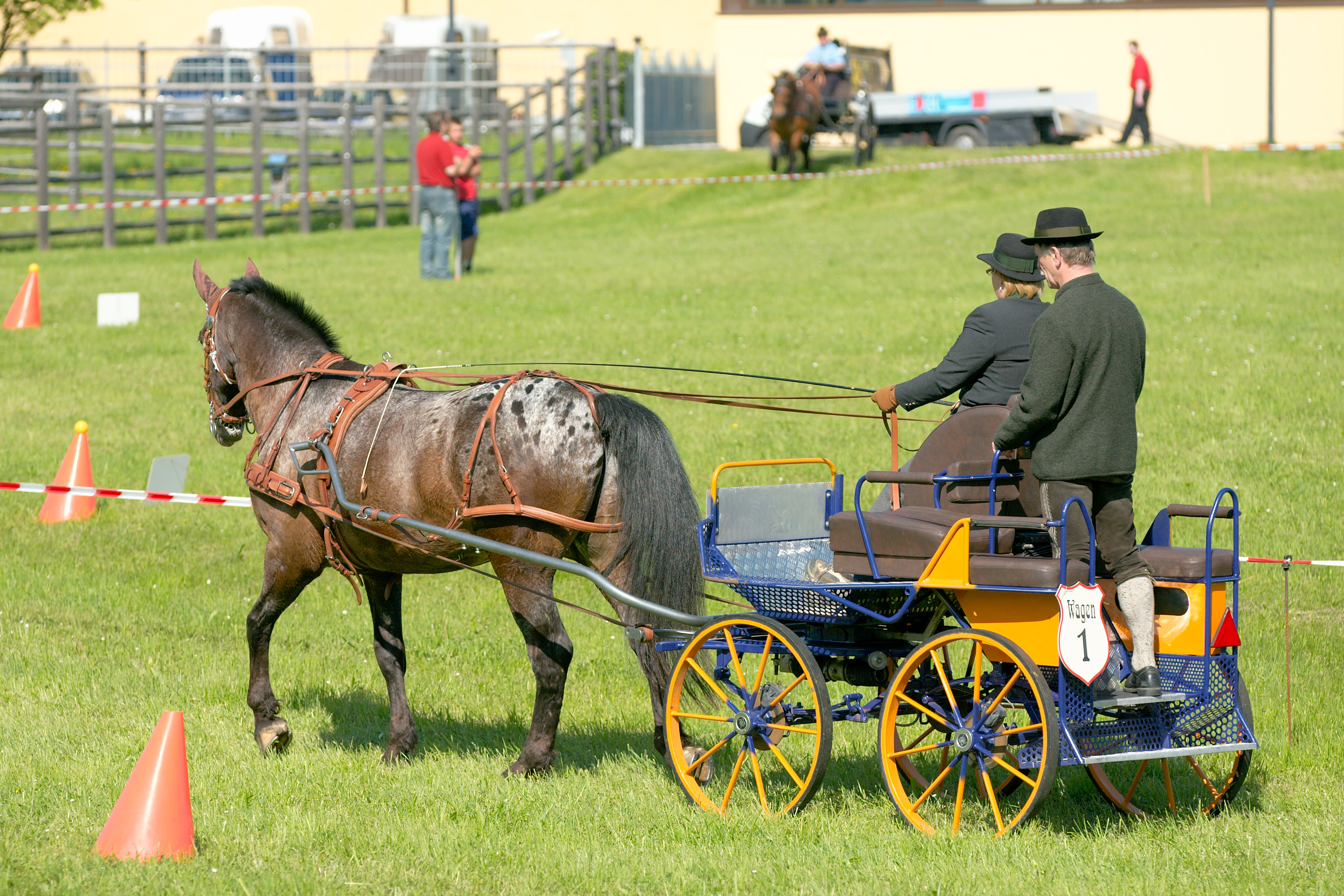 Driving horse. Драйвинг пони. Трактор драйвинг. Varnish Roan. Драйвинг барьеры.