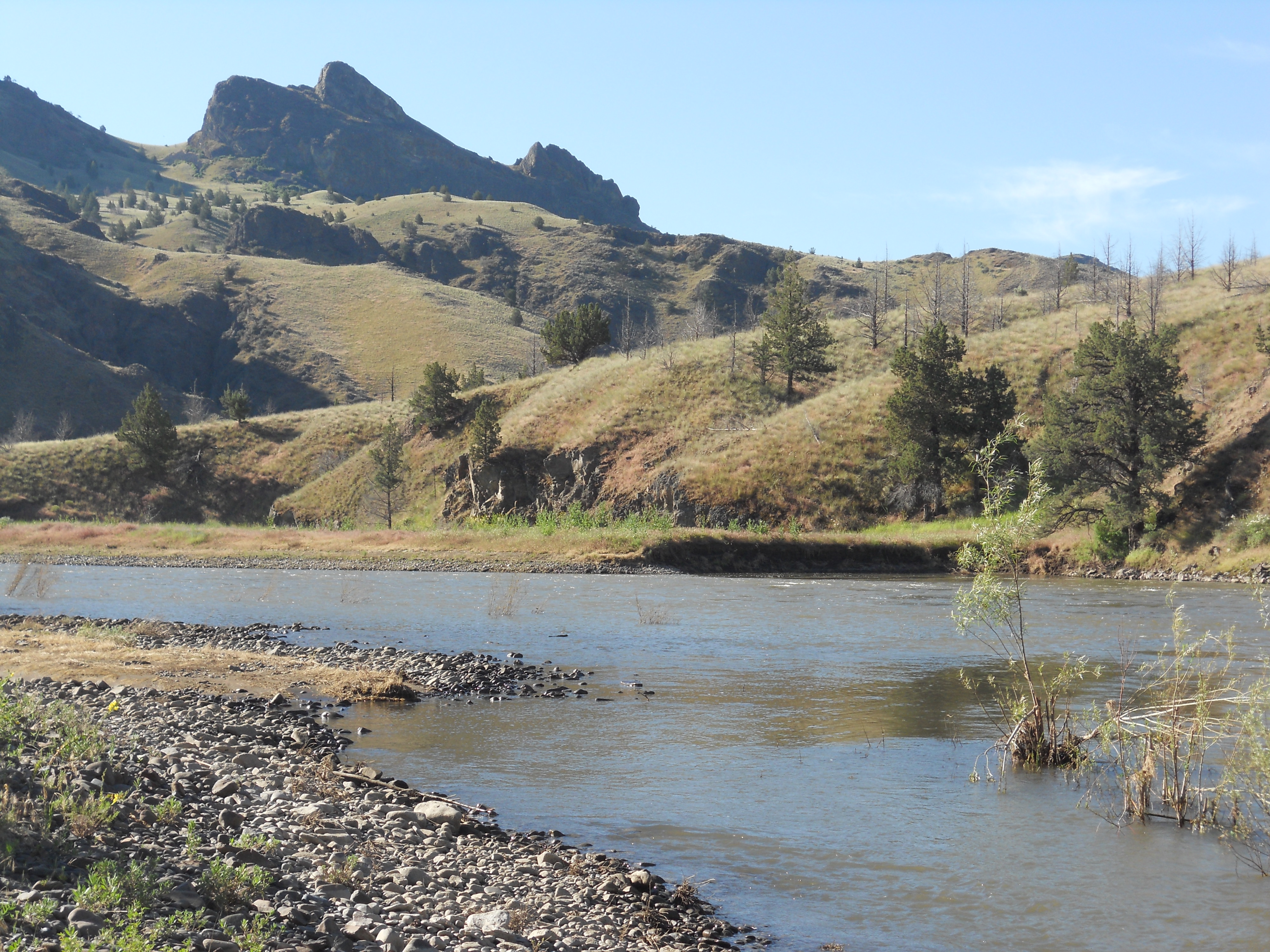 Реки сутки. Дау река 2. Fluvial erosion.. Sassy Cassy of the John Day River.