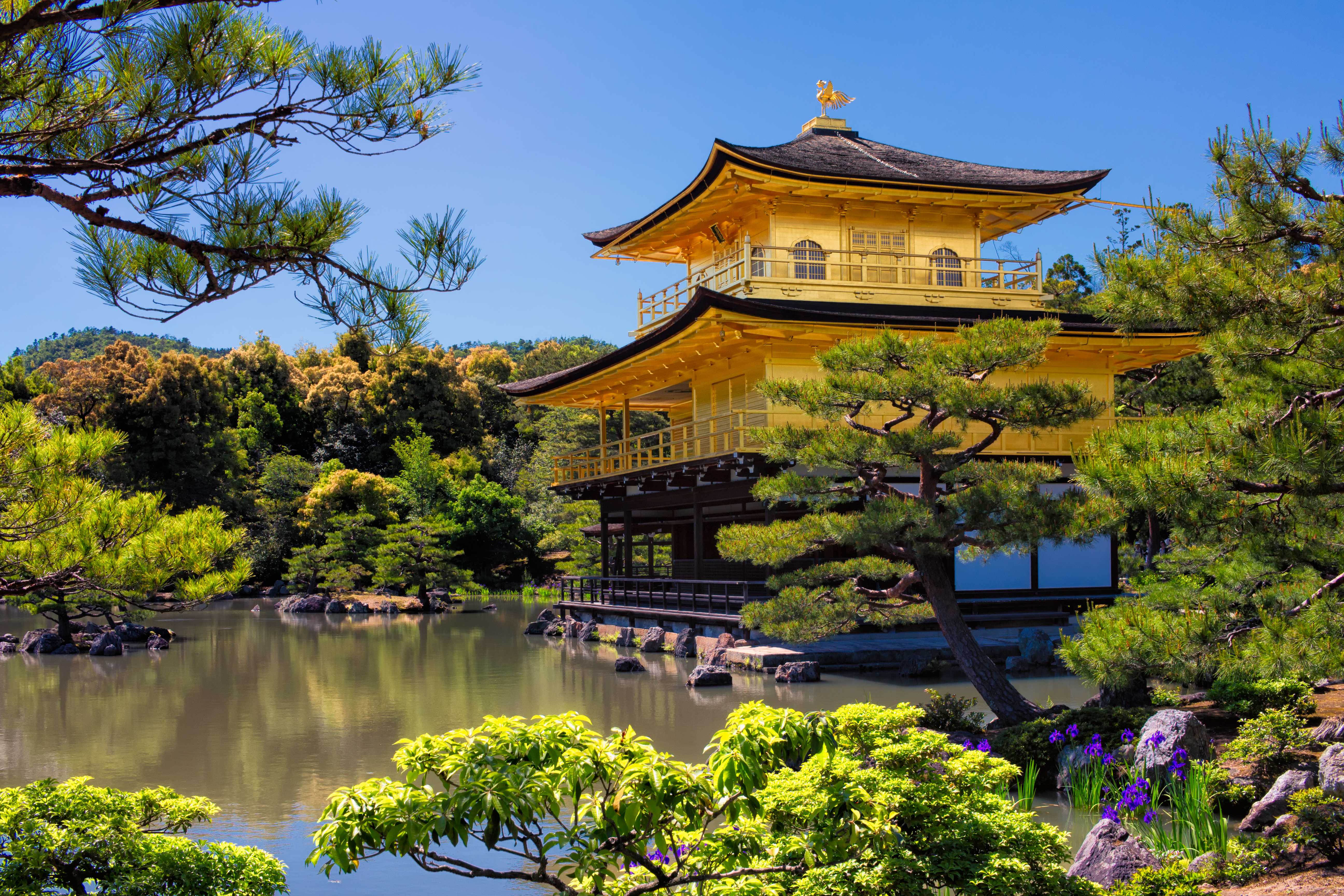 File:Kinkakuji (Golden Pavilion), Kyoto, Japan - 34036736784.jpg 