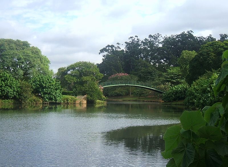 File:Lago das Garças, Parque do Ibirapuera.JPG