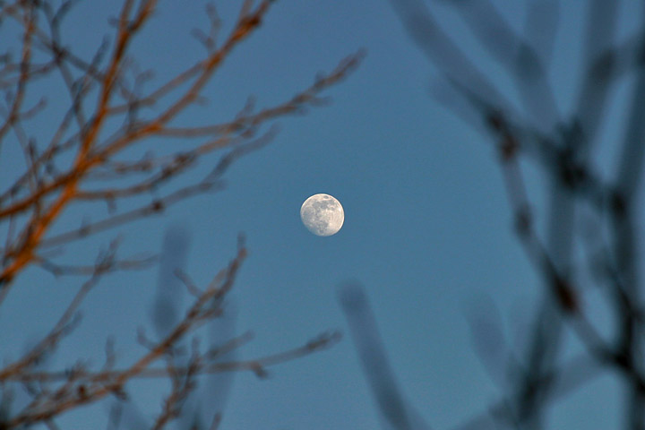 File:Lightmatter moon.jpg