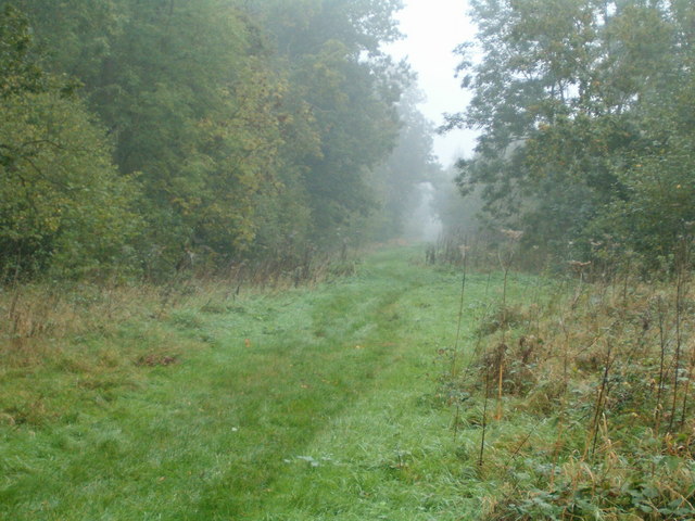 Little Linford Wood - geograph.org.uk - 259733