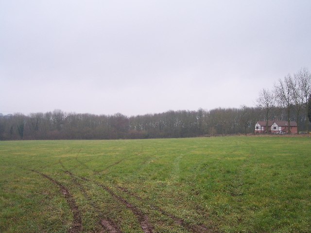 File:Lowe Coppice - geograph.org.uk - 102057.jpg