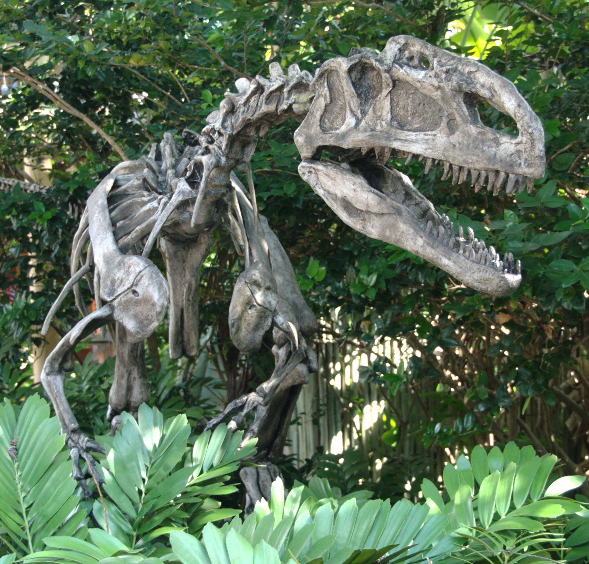 File Monolophosaurus In Garden Jpg Wikimedia Commons